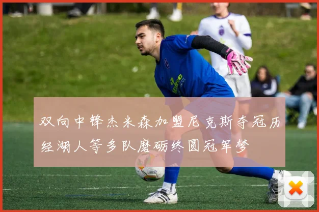 双向中锋杰米森加盟尼克斯夺冠历经湖人等多队磨砺终圆冠军梦