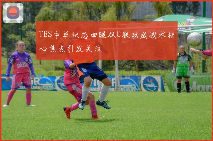 TES中单状态回暖双C联动成战术核心焦点引发关注